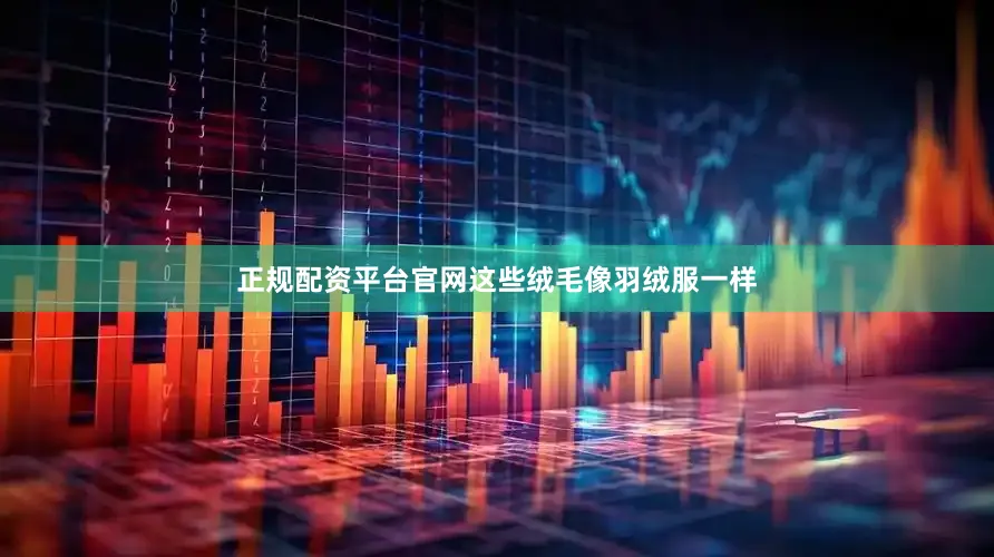 正规配资平台官网这些绒毛像羽绒服一样