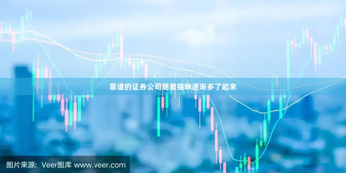 靠谱的证券公司随着猫咪逐渐多了起来